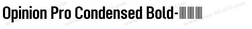 Opinion Pro Condensed Bold字体转换
